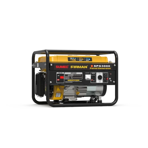 Firman 2.5kva SPG3000 Dual Fuel Manual Generator